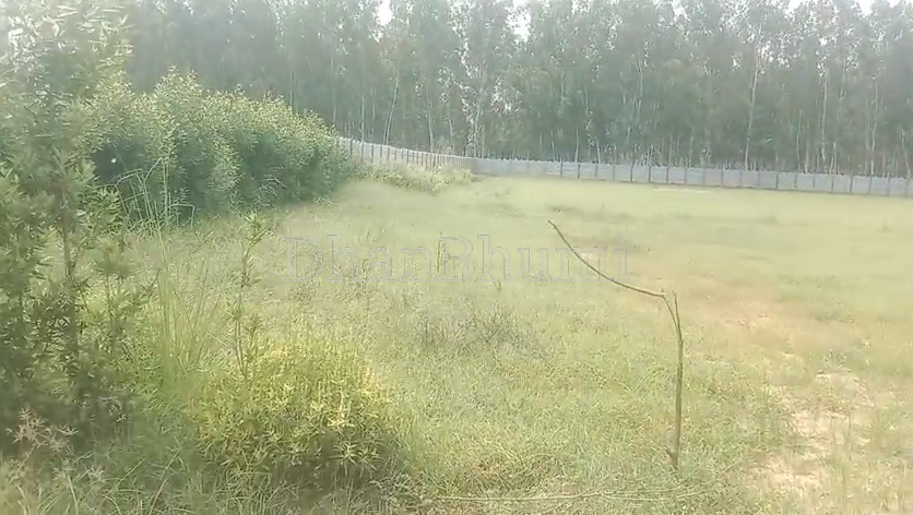 property_images/agricultural_in_gurgaon_gurugram_1787385091_6a895503592f8.png