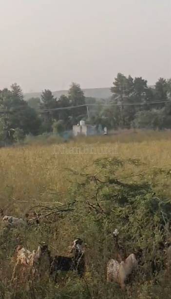 property_images/agricultural_in_gurgaon_gurugram_1792154587_6ad21bdbe02d2.PNG