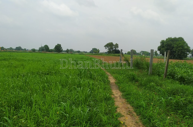 featured_img