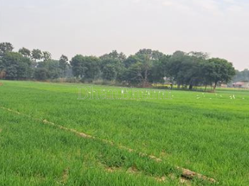 property_images/agricultural_in_gurugram_1785321109_6a69d6950993f.png