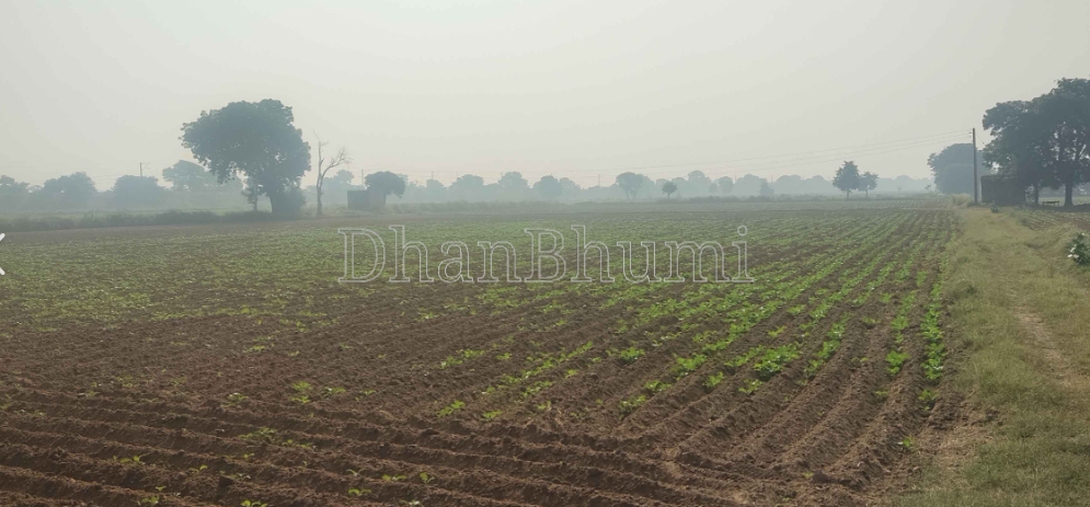 property_images/agricultural_in_gurugram_1787660924_6a8d8a7c3e364.png
