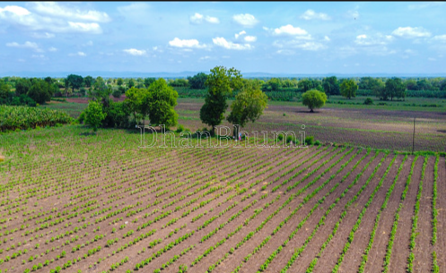 property_images/agricultural_in_gurugram_1788434142_6a9956de18ecc.png