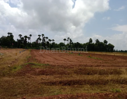 property_images/agricultural_in_gurugram_1788435045_6a995a65e2570.png