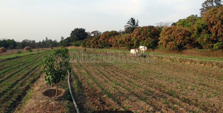 property_images/agricultural_in_gurugram_1788435590_6a995c86447e6.png