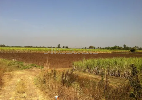 property_images/agricultural_in_gurugram_1788435948_6a995decd1abf.png