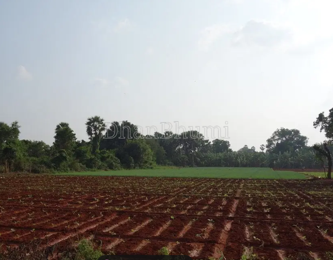 property_images/agricultural_in_gurugram_1788436178_6a995ed2e0f9e.png
