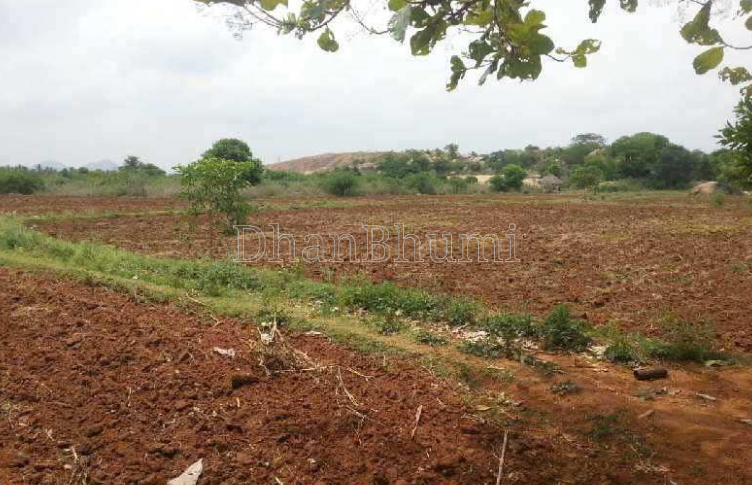 property_images/agricultural_in_gurugram_1788437090_6a996262e1be8.png