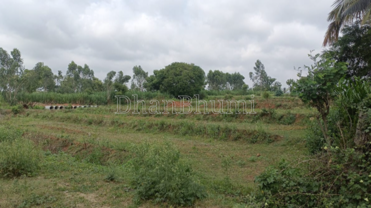 property_images/agricultural_in_gurugram_1788437483_6a9963ebd8d56.png