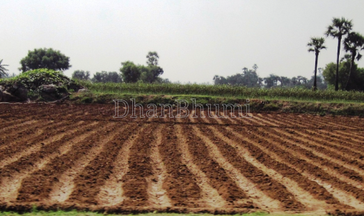 property_images/agricultural_in_gurugram_1789548465_6aaa57b1df7ab.png