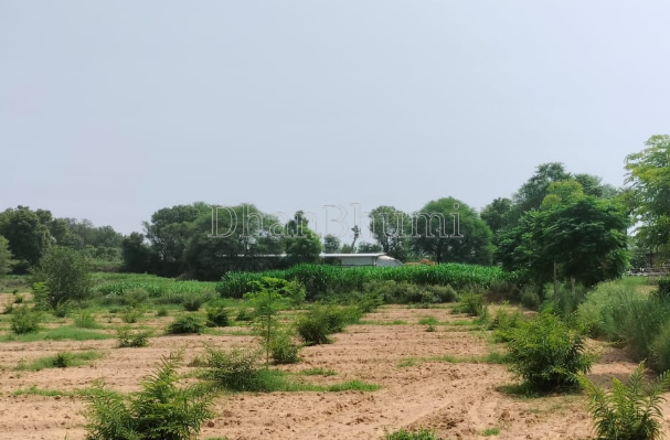 property_images/agricultural_in_gwalior_1780747027_6a240b1382bf8.PNG