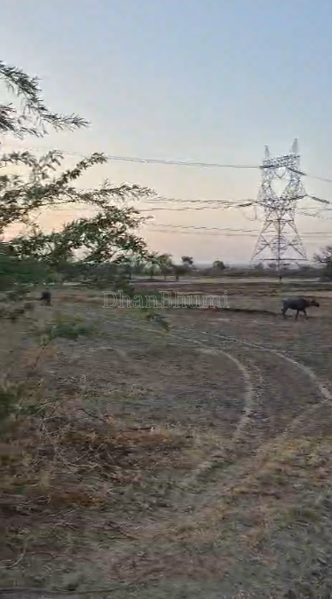property_images/agricultural_in_gwalior_1782542728_6a3f71888e475.PNG