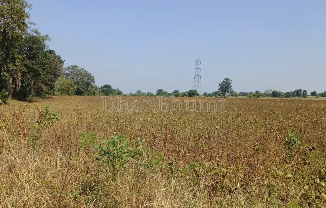 property_images/agricultural_in_gwalior_1783334778_6a4b877a98781.PNG