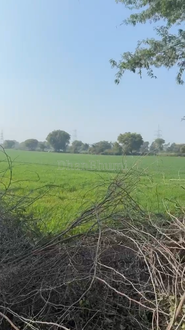 property_images/agricultural_in_gwalior_1783338298_6a4b953a68771.PNG