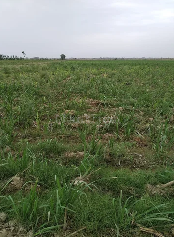 property_images/agricultural_in_gwalior_1783408939_6a4ca92b23a08.PNG