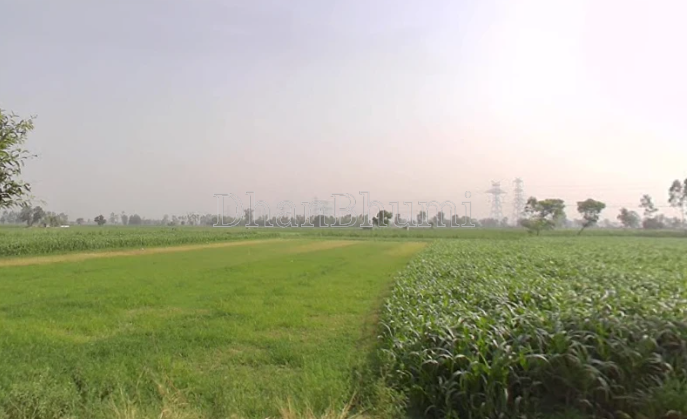 property_images/agricultural_in_gwalior_1783420834_6a4cd7a2c80a2.PNG