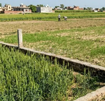 property_images/agricultural_in_gwalior_1783421195_6a4cd90b9d119.PNG