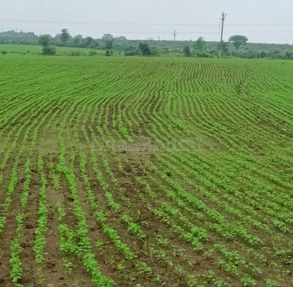 property_images/agricultural_in_gwalior_1786011667_6a746013be34e.png