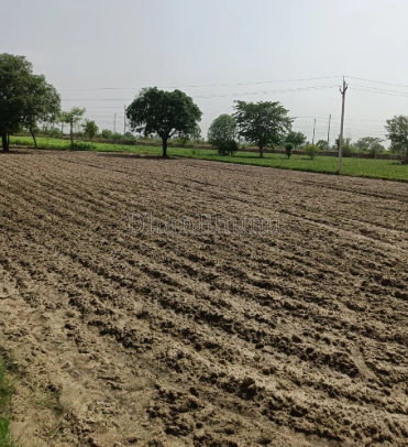 property_images/agricultural_in_gwalior_1786011850_6a7460ca0f89d.png
