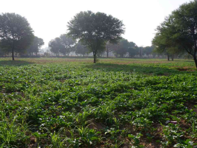 property_images/agricultural_in_gwalior_1789729868_6aad1c4c9c256.PNG