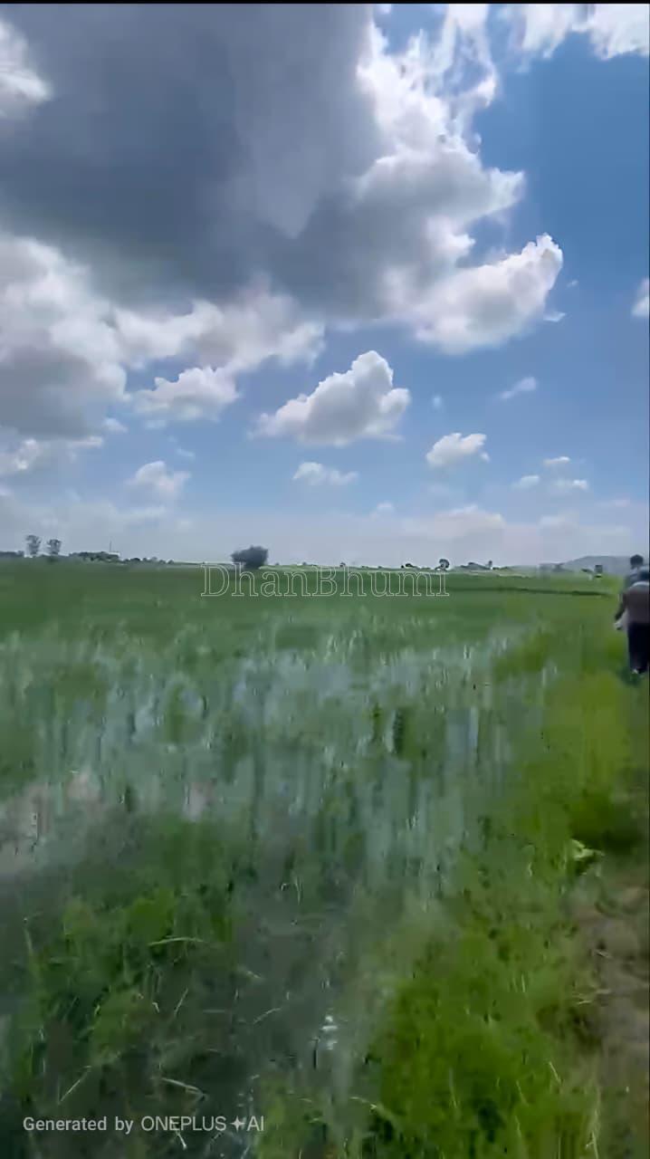 property_images/agricultural_in_gwalior_1789812735_6aae5ffff0cf3.jpeg