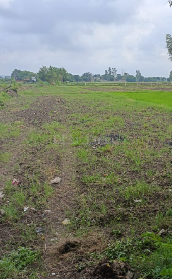 property_images/agricultural_in_gwalior_1792134580_6ad1cdb4802a3.png