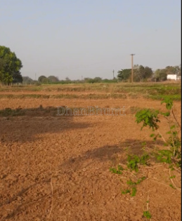 property_images/agricultural_in_hamirpur_1787050379_6a84398b3ebf3.png