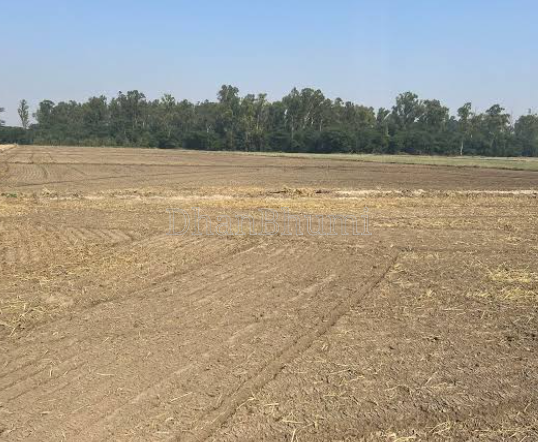 property_images/agricultural_in_hanumangarh_1790770841_6abcfe991a283.png