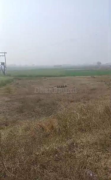 property_images/agricultural_in_hapur_1780747285_6a240c1548b63.jpg