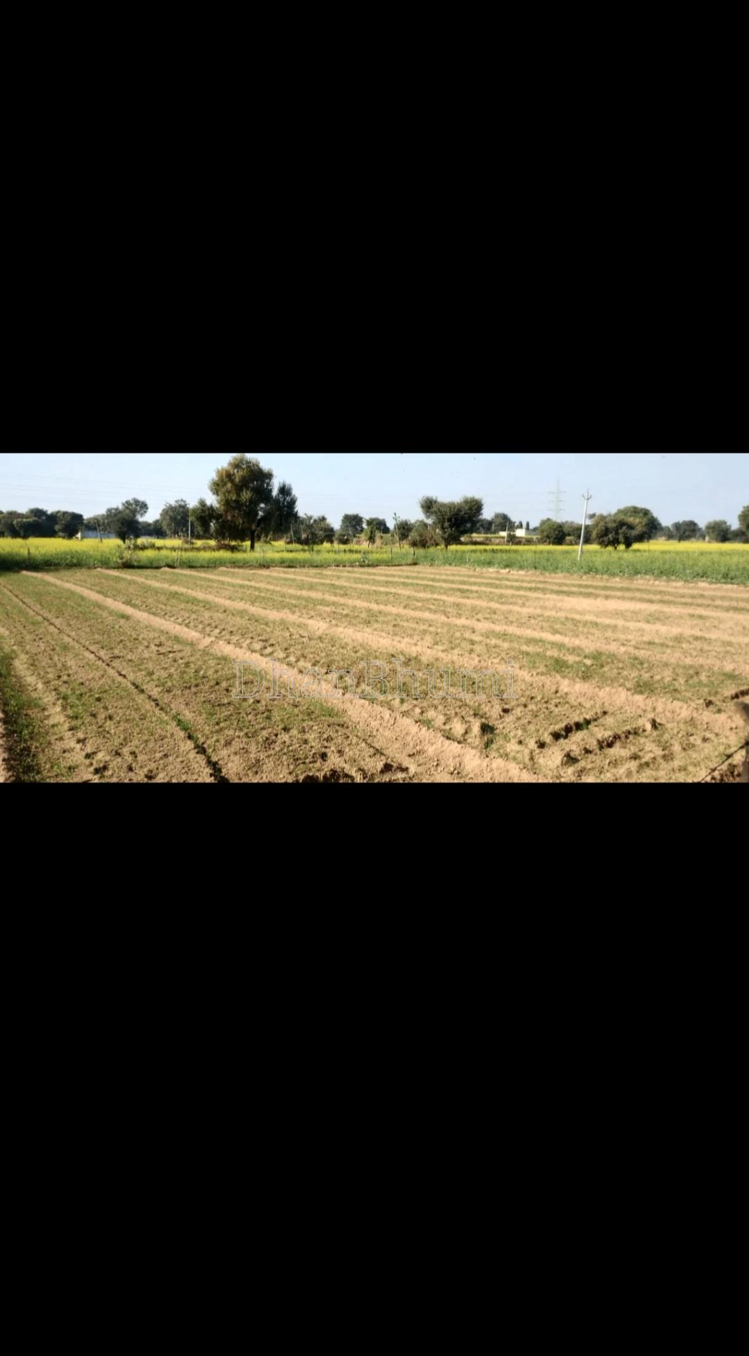 property_images/agricultural_in_hapur_1782812987_6a43913b33c58.jpg
