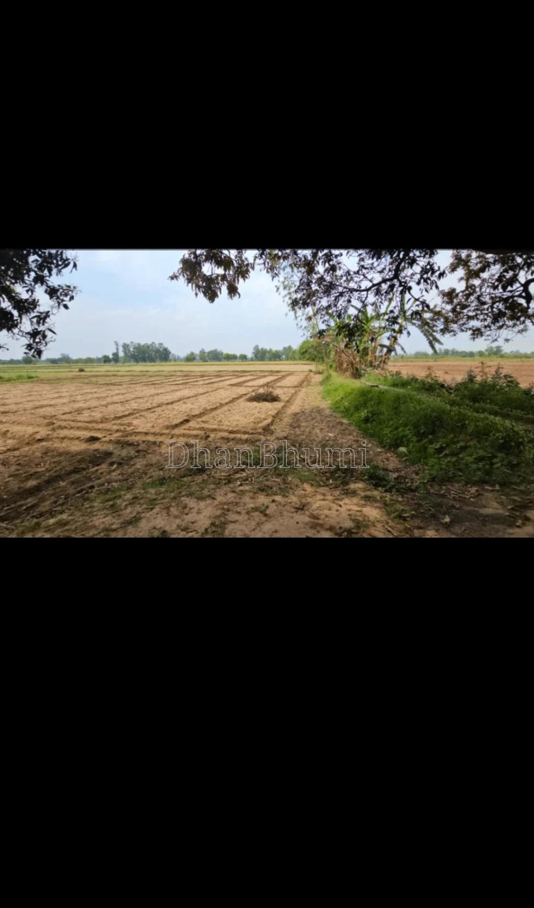 property_images/agricultural_in_hapur_1782812987_6a43913b935bc.jpg