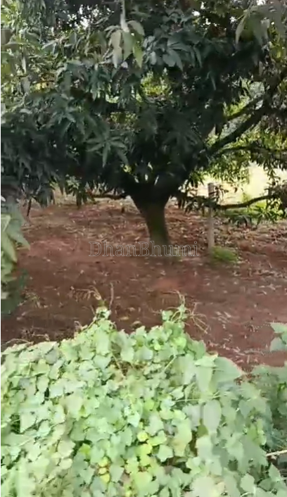 property_images/agricultural_in_hapur_1787295812_6a87f844cb9d0.png