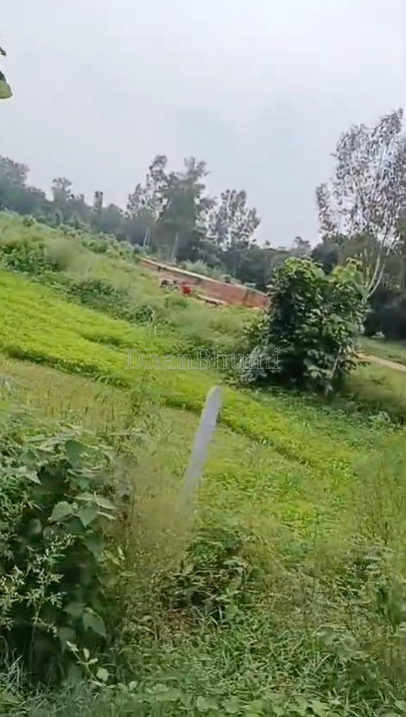 property_images/agricultural_in_hapur_1787296031_6a87f91f14a13.png