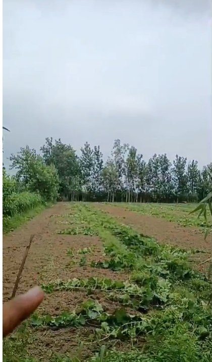 property_images/agricultural_in_hapur_1787297758_6a87ffde7d8d6.png