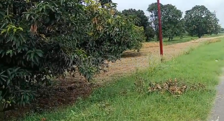 property_images/agricultural_in_hapur_1787304504_6a881a383b450.png