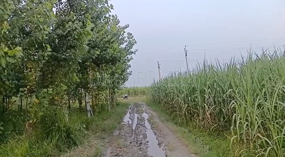property_images/agricultural_in_hapur_1787314303_6a88407fdb612.png