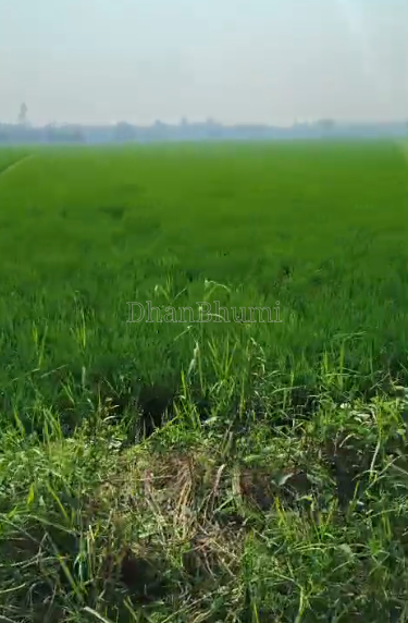 featured_img