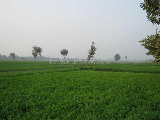 featured_img