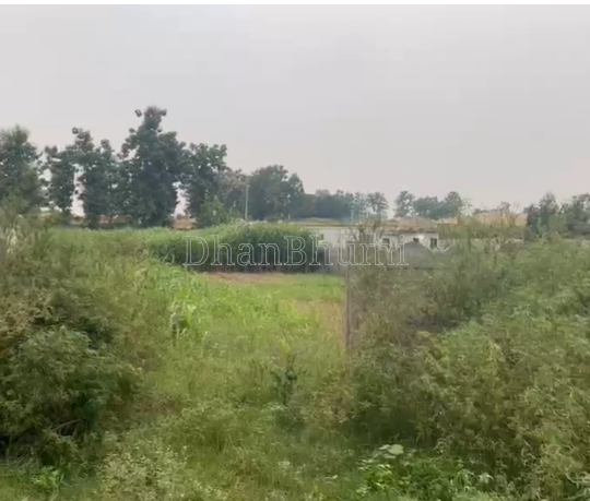 property_images/agricultural_in_hapur_1789544422_6aaa47e629347.png