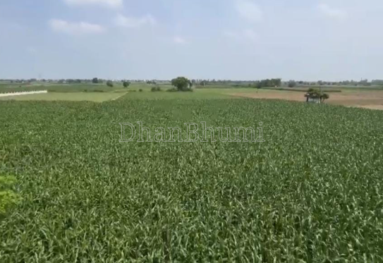property_images/agricultural_in_hapur_1789548148_6aaa5674a6f48.png
