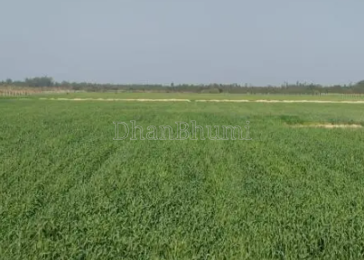 property_images/agricultural_in_hapur_1789548348_6aaa573c19411.png