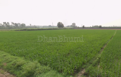 property_images/agricultural_in_hapur_1789548805_6aaa59052521b.png
