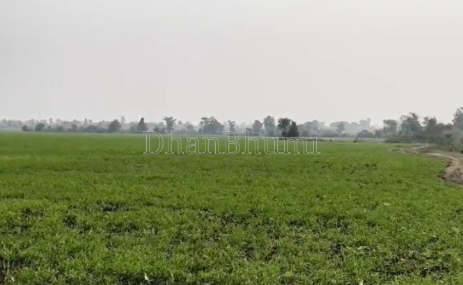 property_images/agricultural_in_hapur_1790749204_6abcaa14241ad.PNG
