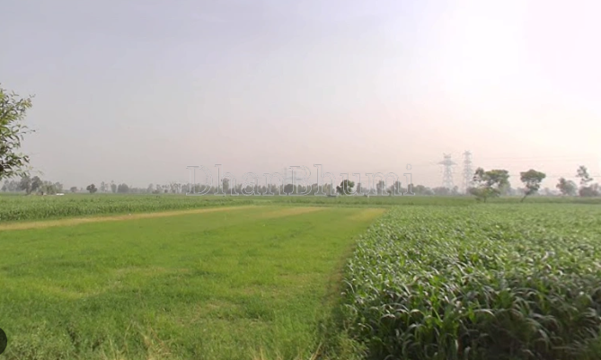property_images/agricultural_in_hapur_1790749337_6abcaa99525bc.PNG