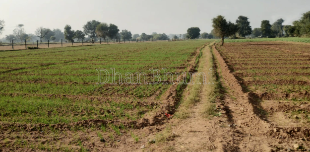 property_images/agricultural_in_hapur_1792660045_6ad9d24d0b7cc.PNG