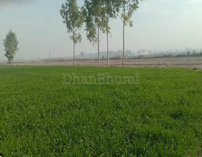 property_images/agricultural_in_haridwar_1784713695_6a6091df65fa3.PNG
