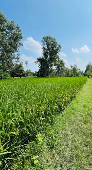 property_images/agricultural_in_haridwar_1784722455_6a60b417670a2.PNG