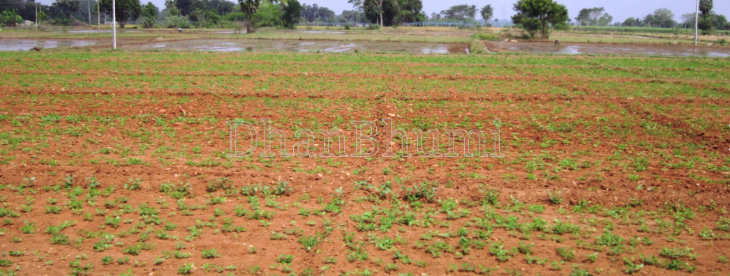property_images/agricultural_in_haridwar_1786612192_6a7d89e061bb8.png
