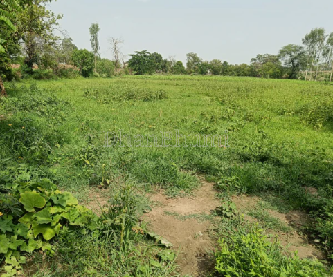 property_images/agricultural_in_haridwar_1788525944_6a9abd78b8c0a.png