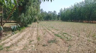 property_images/agricultural_in_haridwar_1790764354_6abce542b7684.PNG