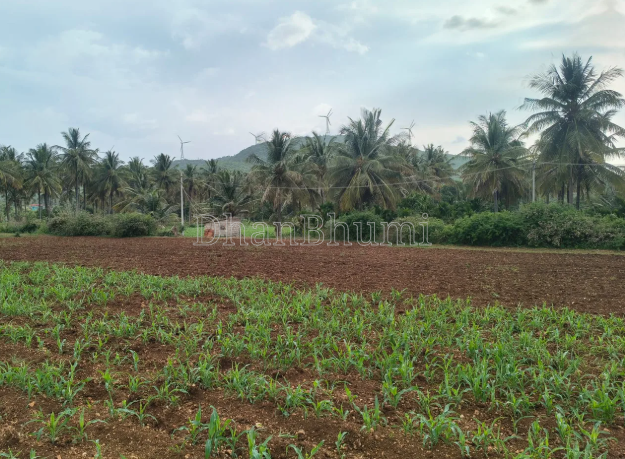 property_images/agricultural_in_hassan_1785924168_6a730a48d3608.png